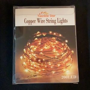 Copper wire string lights